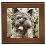 Cairn Terrier Framed Tile