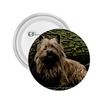 Cairn Terrier 2.25  Button