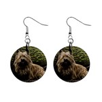 Cairn Terrier 1  Button Earrings