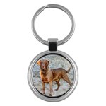 Chesapeake Bay Retriever Key Chain (Round)