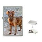 Chesapeake Bay Retriever Flip Top Lighter