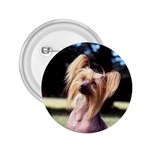 Chinese Crested 2.25  Button