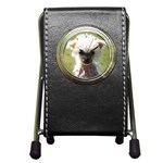 Chinese Crested Pen Holder Desk Clock