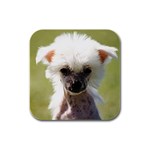 Chinese Crested Rubber Square Coaster (4 pack)