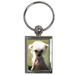 Chinese Crested Key Chain (Rectangle)