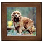 Cocker Spaniel Framed Tile