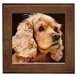 Cocker Spaniel Framed Tile