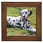 Dalmatian Framed Tile