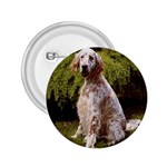 English Setter 2.25  Button