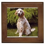 English Setter Framed Tile