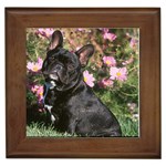 French Bulldog Framed Tile