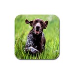 German Shorthaired Pointer Rubber Square Coaster (4 pack)