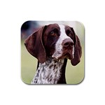 German Shorthaired Pointer Rubber Square Coaster (4 pack)