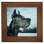 Great Dane Framed Tile