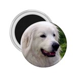 Great Pyrenees 2.25  Magnet