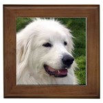 Great Pyrenees Framed Tile