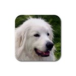 Great Pyrenees Rubber Square Coaster (4 pack)