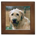 Irish Wolfhound Framed Tile