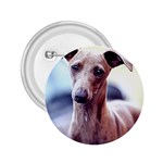 Italian Greyhound 2.25  Button