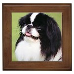 Japanese Chin Framed Tile