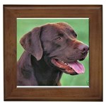 Labrador Retriever Lab Framed Tile