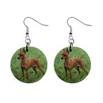 Miniature Pinscher 1  Button Earrings