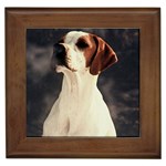 Pointer Framed Tile