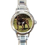 Staffordshire Bull Terrier Round Italian Charm Watch