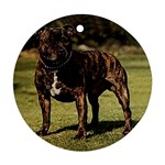 Staffordshire Bull Terrier Ornament (Round)