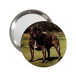 Staffordshire Bull Terrier 2.25  Handbag Mirror