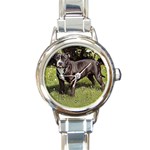 Staffordshire Bull Terrier Round Italian Charm Watch