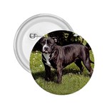 Staffordshire Bull Terrier 2.25  Button