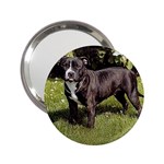 Staffordshire Bull Terrier 2.25  Handbag Mirror