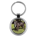 Staffordshire Bull Terrier Key Chain (Round)