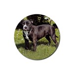 Staffordshire Bull Terrier Rubber Round Coaster (4 pack)