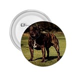 Pit Bull 2.25  Button