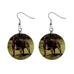 Pit Bull 1  Button Earrings