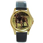 Pit Bull Round Gold Metal Watch