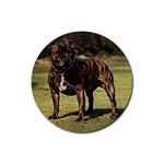 Pit Bull Rubber Round Coaster (4 pack)