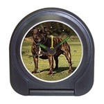 Pit Bull Travel Alarm Clock