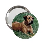 Rhodesian Ridgeback 2.25  Handbag Mirror