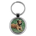 Rhodesian Ridgeback Key Chain (Round)