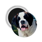 Saint Bernard 2.25  Magnet