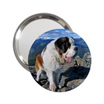 Saint Bernard 2.25  Handbag Mirror