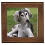 Saluki Framed Tile