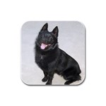 Schipperke Rubber Square Coaster (4 pack)