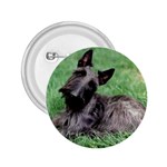 Scottish Terrier Scottie 2.25  Button