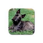 Scottish Terrier Scottie Rubber Square Coaster (4 pack)