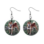 Shiba Inu 1  Button Earrings