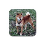 Shiba Inu Rubber Square Coaster (4 pack)